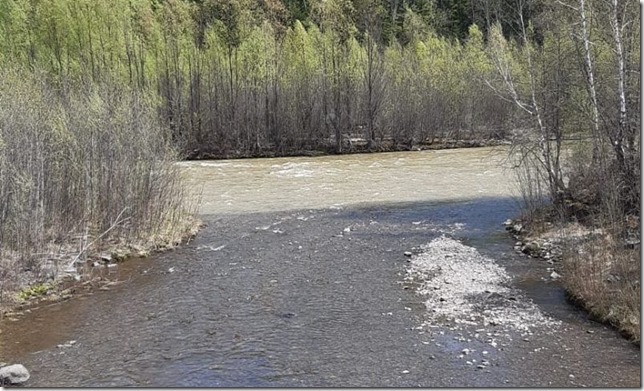 Река ниже участков золотодобычи в Селемжинском районе Амурской области