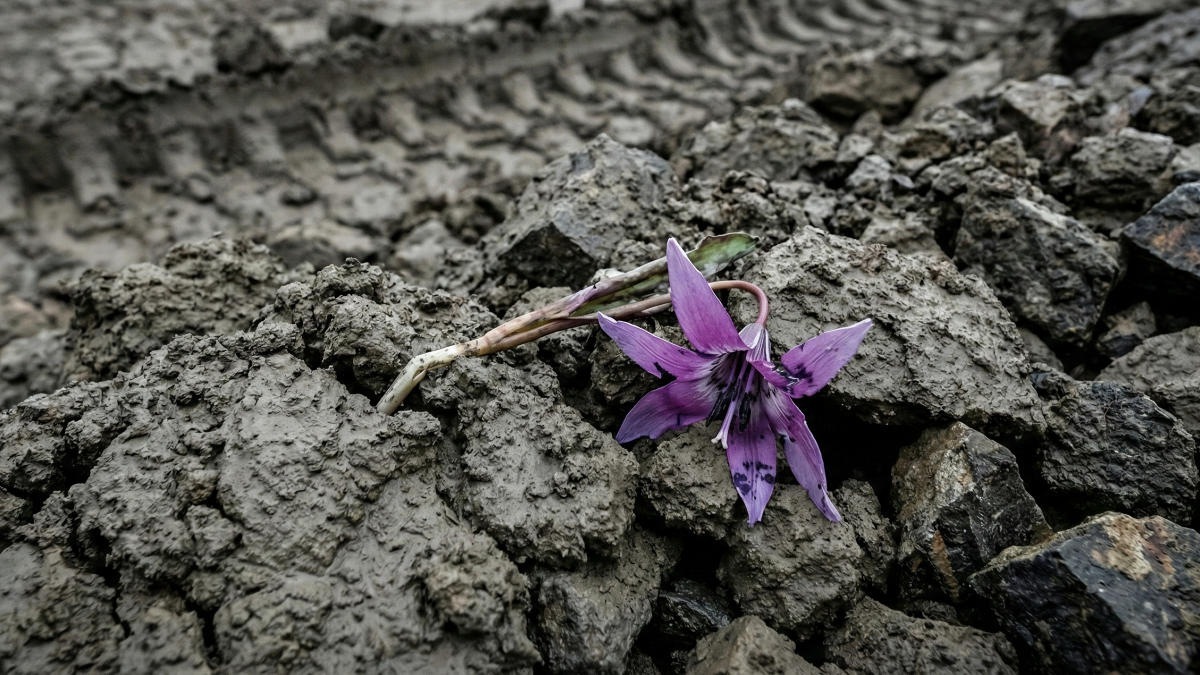 На Алтае судят золотодобытчика за ущерб природе на 211 млн рублей
